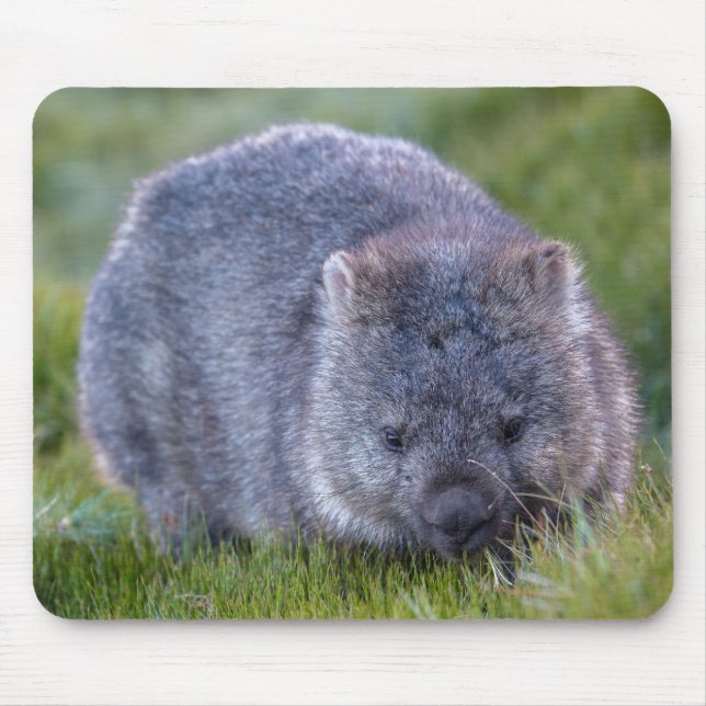 Mousepad Wombat (Frente)