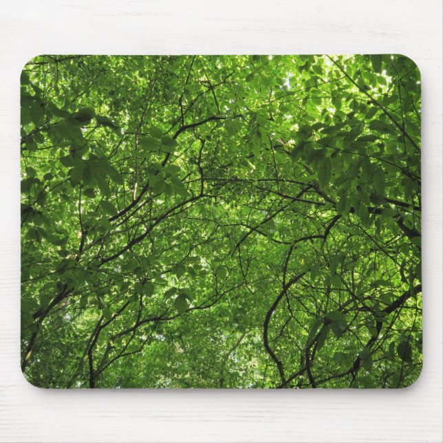 Mousepad Woodland Canopy (Frente)