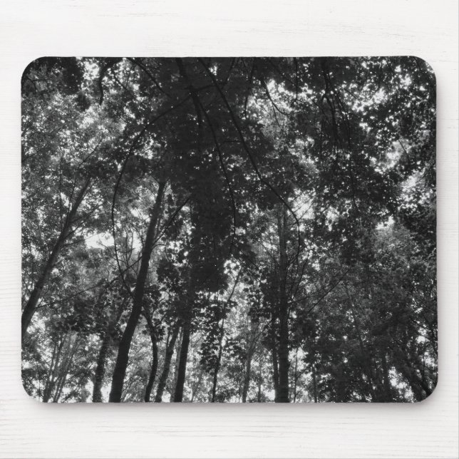 Mousepad Woodland Canopy 01 BW (Frente)