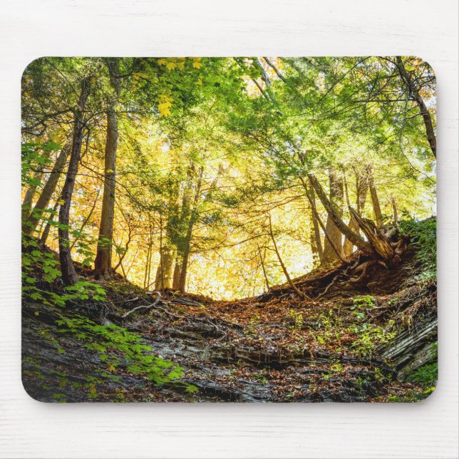 Mousepad Woodland Sunset Nature (Frente)