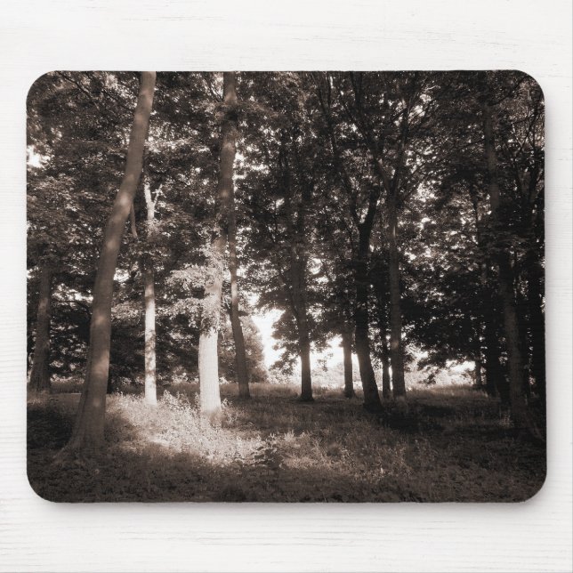 Mousepad Woods Bute Park, Cardiff II (Frente)