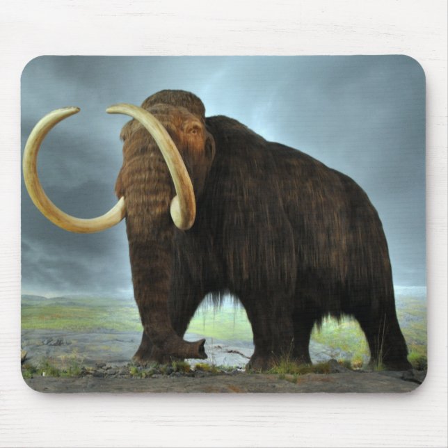 Mousepad Wooly Mammoth Mod Destiny (Frente)
