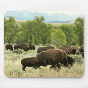 Mousepad Wyoming Bison Nature