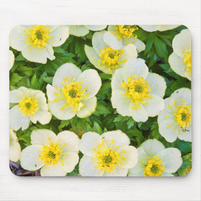 Mousepad Wyoming, Condado de Sublette, encerramento de um g (Frente)