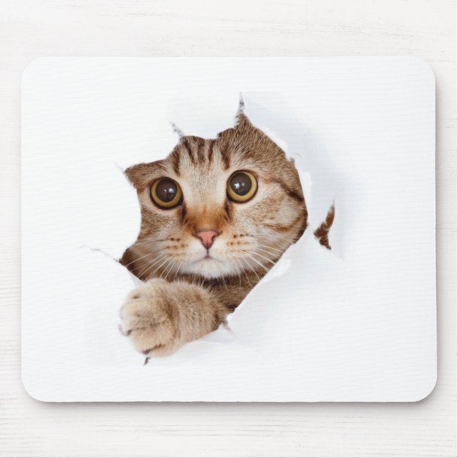 Mousepad Xícara de Gato Engraçado e Bonita (Frente)