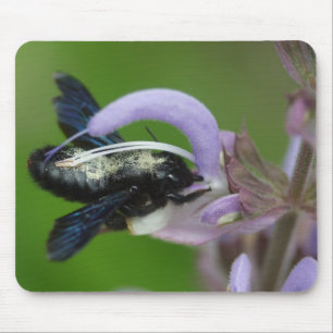 Mousepad Xylocopa iris