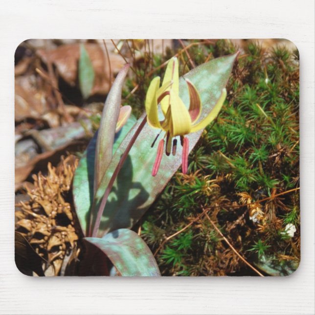 Mousepad Yellow and Plum Trout Lily (Frente)