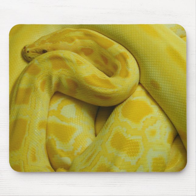 Mousepad Yellow Burmese Python Incrível (Frente)