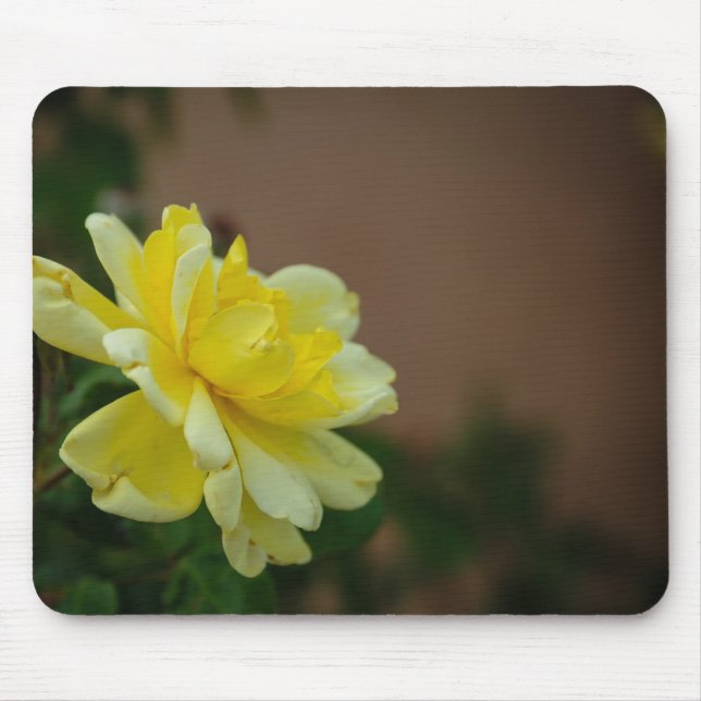 Mousepad Yellow Rose (Frente)