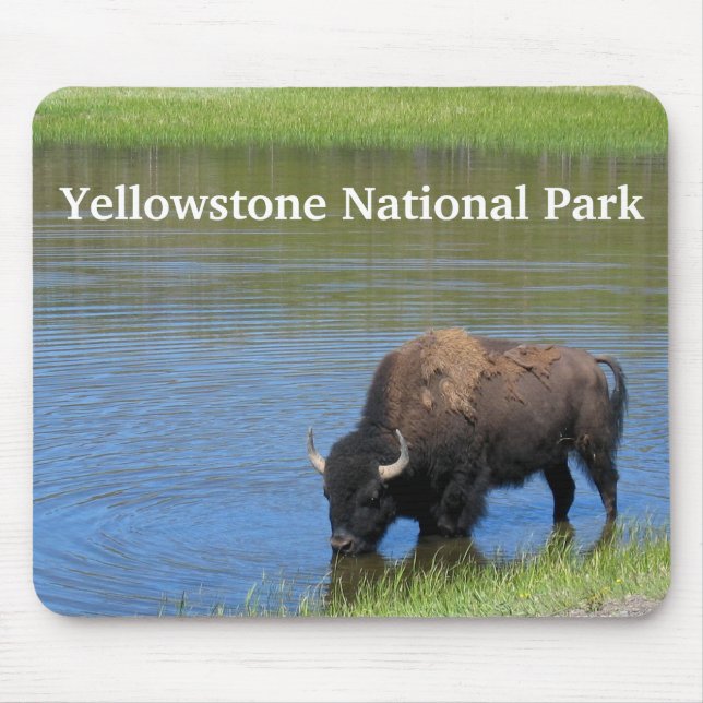 Mousepad Yellowstone Buffalo em Pond (Frente)