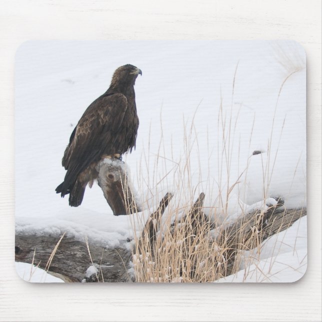 Mousepad Yellowstone Eagle dourado (Frente)