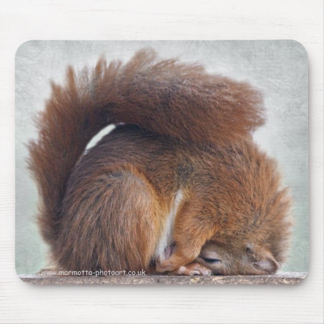 Mousepad Yoga Squirrel Mousemat (Frente)