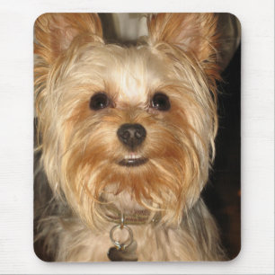 Mousepad yorkie