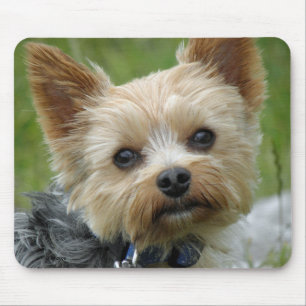 Mousepad Yorkie