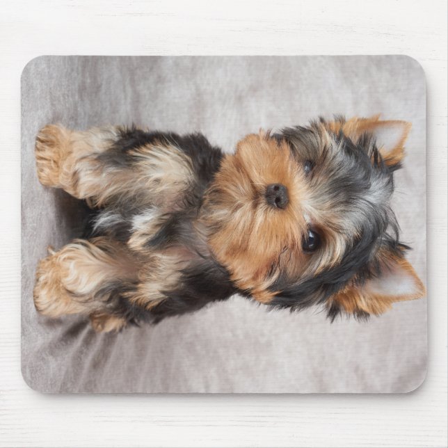 Mousepad Yorkie maravilhoso (Frente)