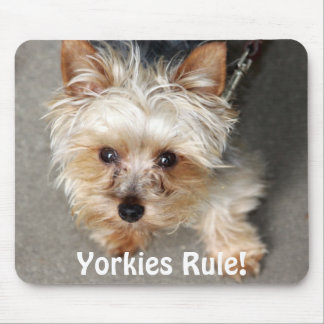 Mousepad Yorkie, regra de Yorkies!