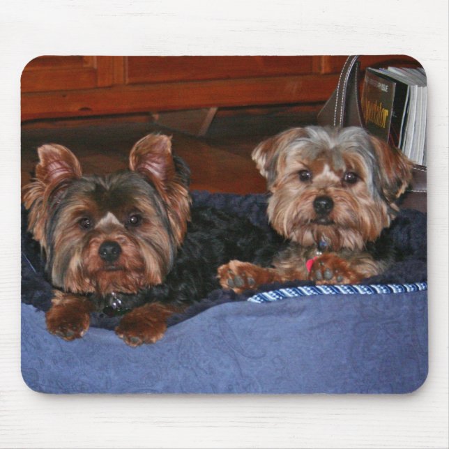 Mousepad Yorkies - amigos (Frente)