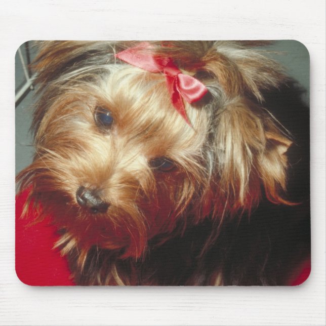 Mousepad Yorkshire terrier (Frente)