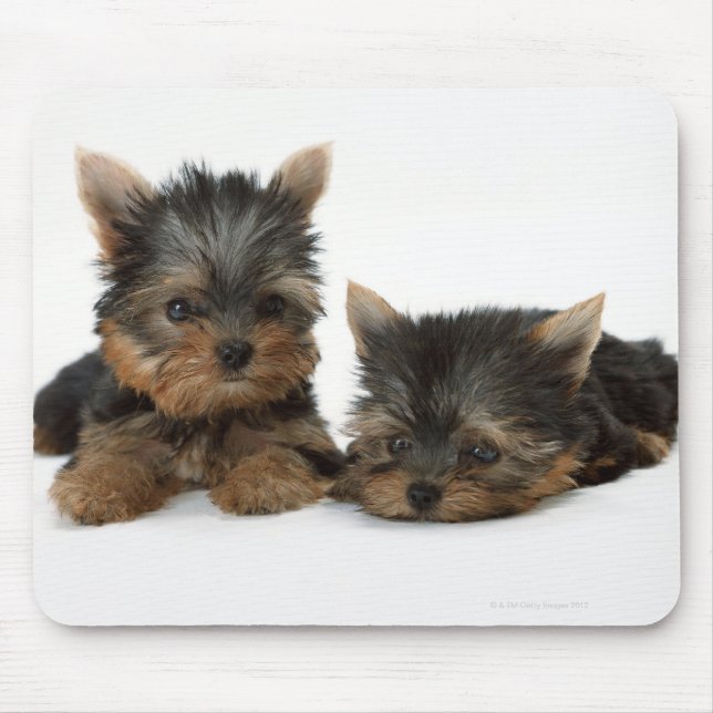 Mousepad Yorkshire Terrier (Frente)