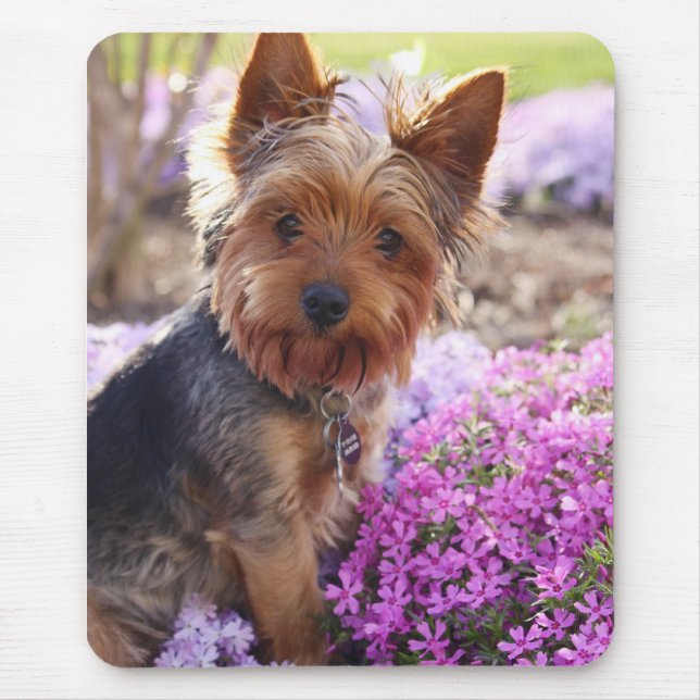 Mousepad Yorkshire Terrier (Frente)