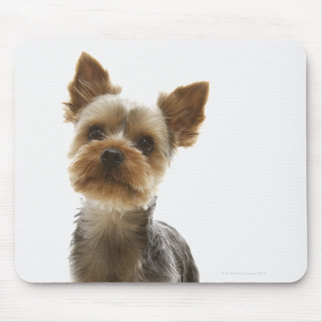 Mousepad Yorkshire Terrier (Frente)