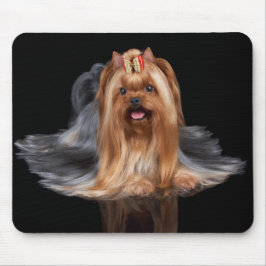 Mousepad Yorkshire terrier no preto