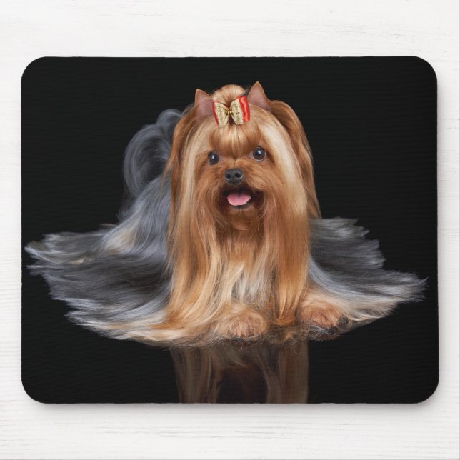 Mousepad Yorkshire terrier no preto (Frente)