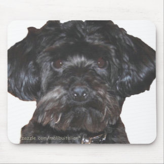 Mousepad Yorkshire Terrier-Poodle Mix