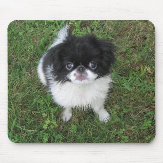 Mousepad Yoshi (Frente)