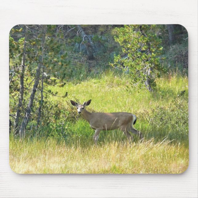 Mousepad Young Buck em Yosemite, CA (Frente)