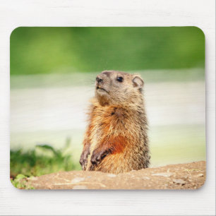 Mousepad Young Groundhog