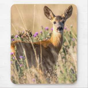 Mousepad Young Roe Deer em Meadow