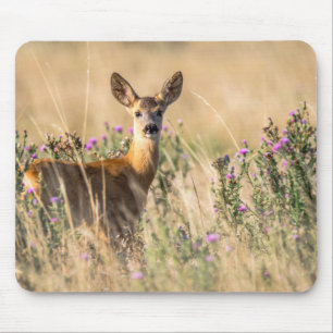 Mousepad Young Roe Deer em Meadow