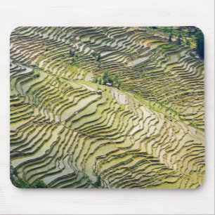 Mousepad Yuanyang Rice Terraces, Yunnan - China