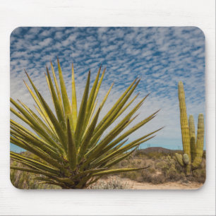 Mousepad Yucca no Deserto, México
