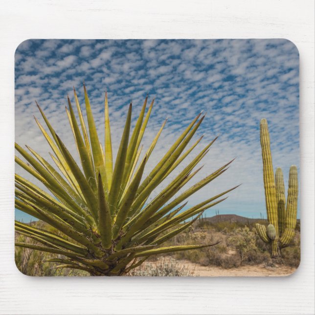 Mousepad Yucca no Deserto, México (Frente)