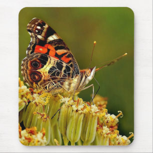 Mousepad Yummm!!!