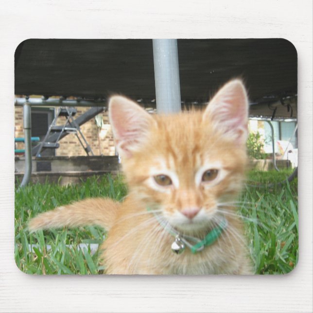 Mousepad Zaccheus o gatinho (Frente)