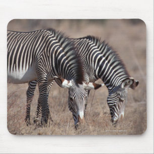 Mousepad Zebra