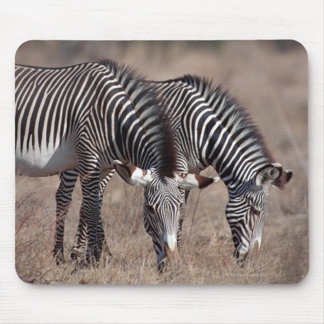 Mousepad Zebra (Frente)