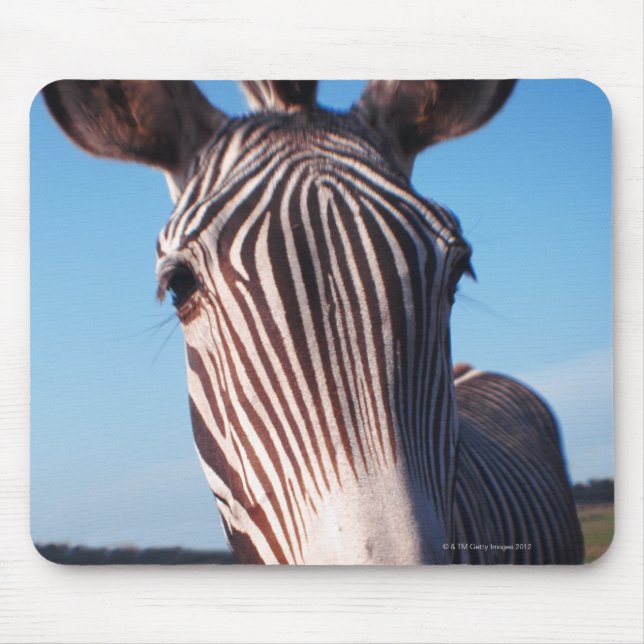 Mousepad zebra 2 (Frente)