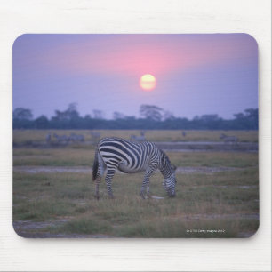 Mousepad Zebra 3 de Grant