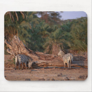 Mousepad Zebra 5 de Grant