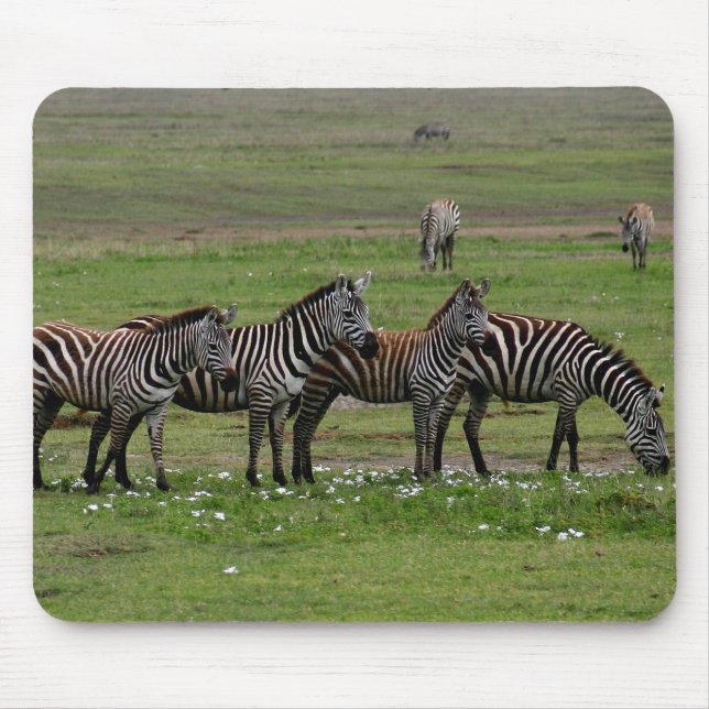Mousepad Zebra Clan (Frente)
