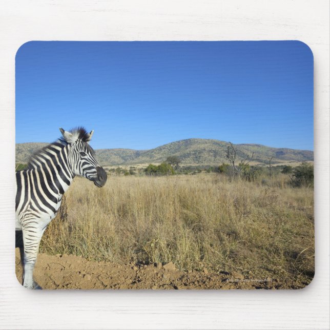 Mousepad Zebra em plena planície, Parque Nacional Pilansber (Frente)