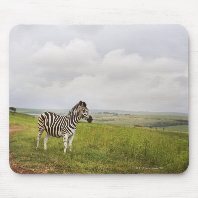 Mousepad Zebra no campo, África do Sul (Frente)