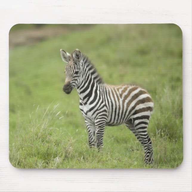 Mousepad Zebra nova na planície de Serengeti (Frente)
