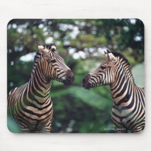 Mousepad zebras