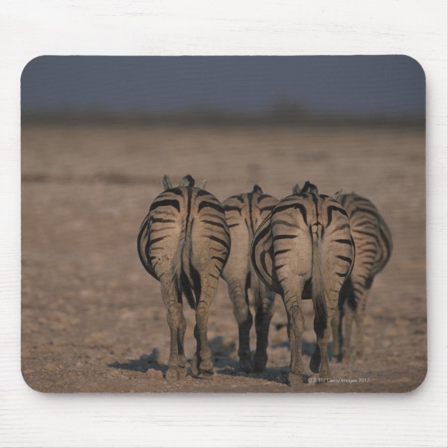 Mousepad Zebras Walking de Burchell (Frente)