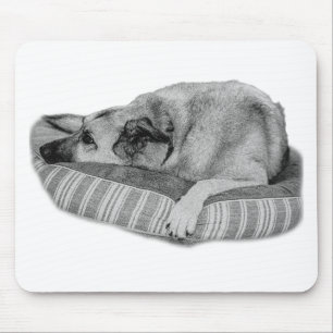 Mousepad Zen Desk, Almofada para Cão Lounge